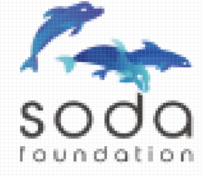 SODA FOUNDATION