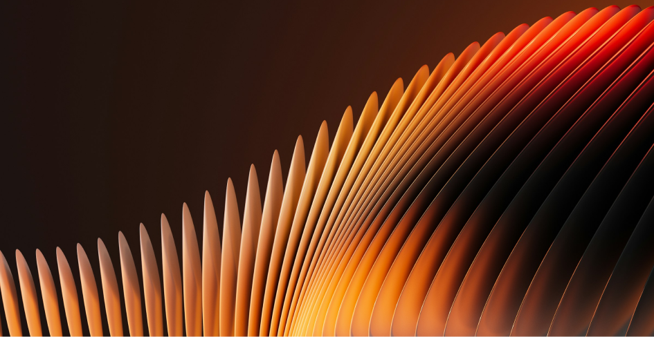 Fibre Channel