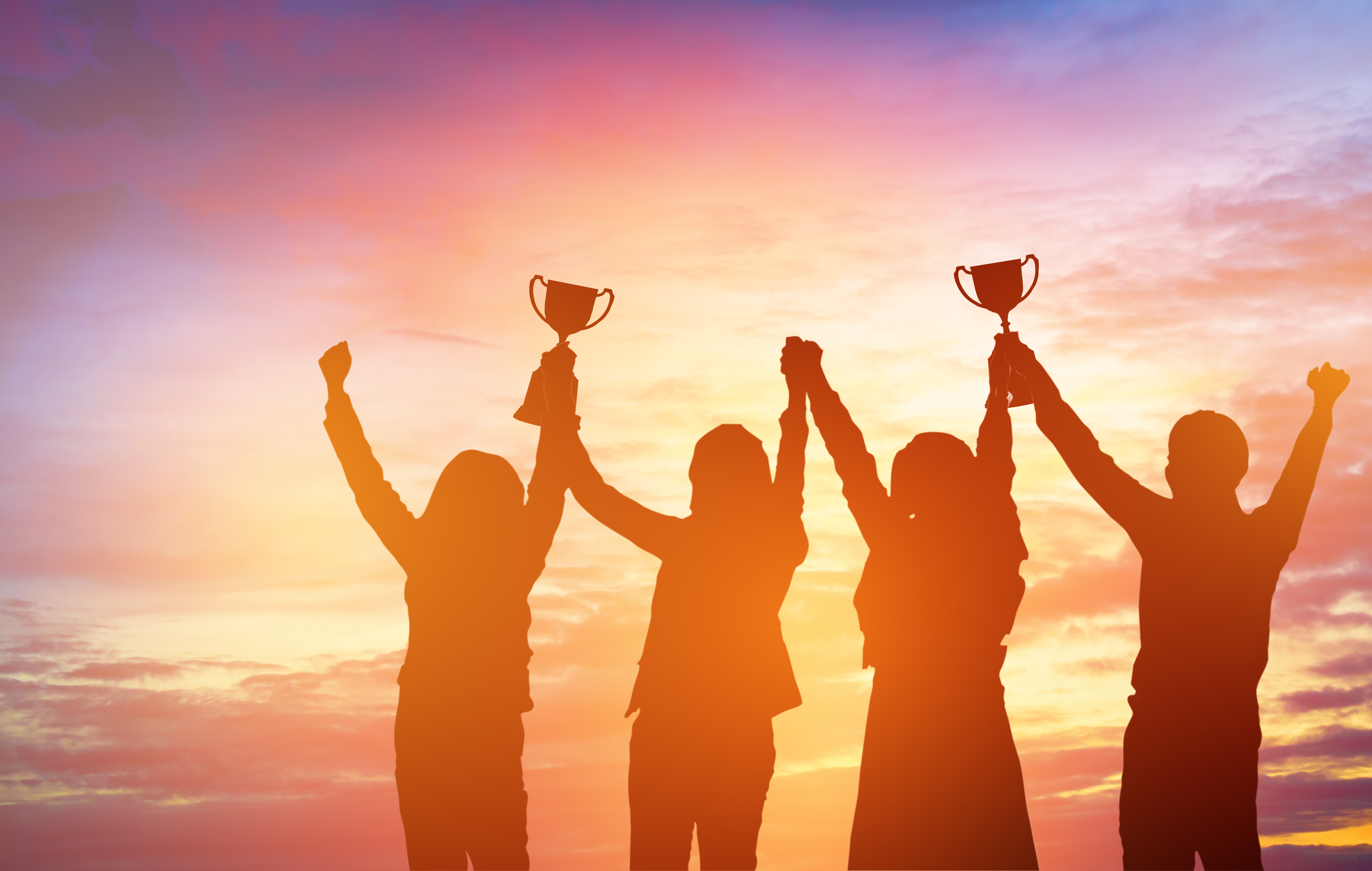 SNIA Recognition Program