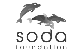 SODA foundation